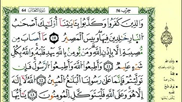 18-10: الصفحة 557 :سورة التغابن من الآية