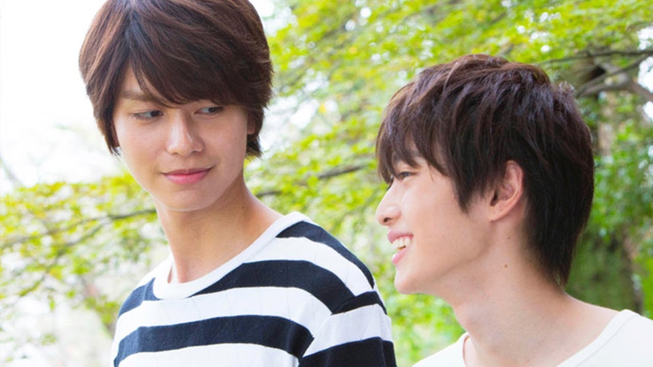 【腐剧猫】温柔听障攻&吃货正太受 便当清纯的PY交易 向阳之处必有声 漫改电影