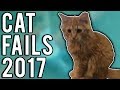Cat Fails | The Best Of 2017 | A Fail Compilation By FailUnited