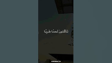 وما يستوي البحران | تلاوة الشيخ محمد ايوب رحمه الله
