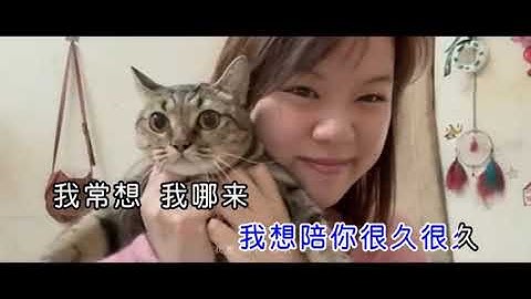 菲道尔-能遇见 就很不错了 (KTV)