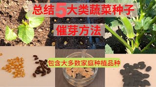 播种前种子是否需要催芽？5大类蔬菜种子的特点和发芽条件 包含大多数家庭种植品种