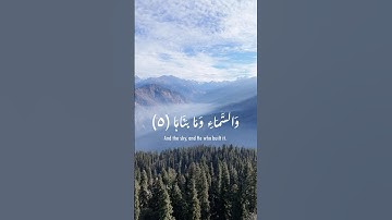 سورة الشمس الآيات 5__8 | بصوت القاری حامد شاکر