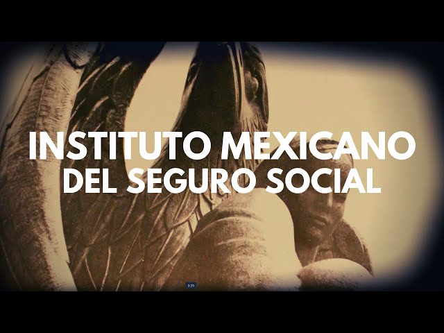 Instituto Mexicano del Seguro Social class=