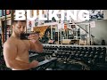 Workout in fase di massa #bulking #workout