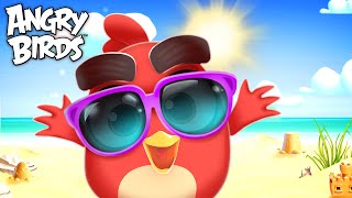 Angry Birds | Chillin’ In The Sun