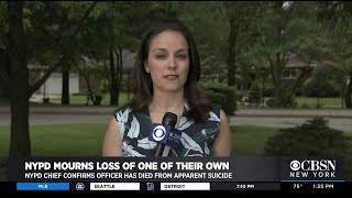 NYPD: Officer's Suicide 8th On Department This Year