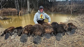 Beaver trapping through dangerous storms. I fell in flash flood waters