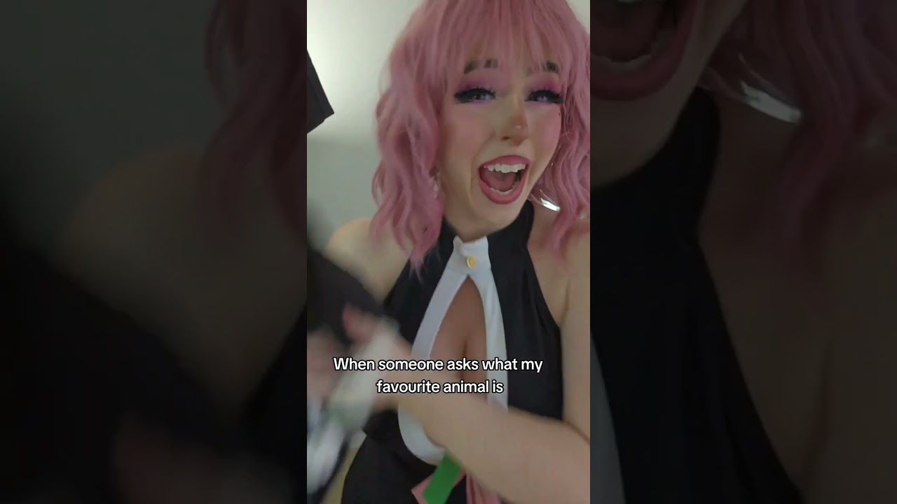 A cat girls favourite animal