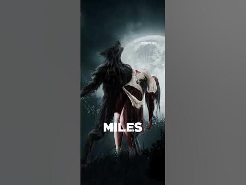 Maroon 5 - Animals song Whatsapp status - YouTube