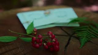 Casey + Jordan's Big Sur Destination Elopement screenshot 2