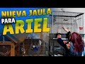 Nueva jaula para ARIEL 🐦El Agapornis Papillero