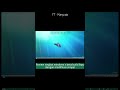 Review singkat windows 7 beta build 6931 dgn modif simpel #kang_ajis #shortsfeed #tutorial #shorts