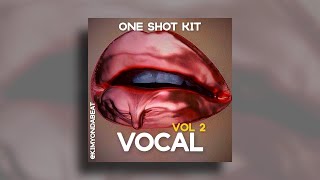 [FREE] VOCAL ONE SHOT KIT &quot;Vol 2&quot; - (Arcade, Exhale, Kontakt Style’s)