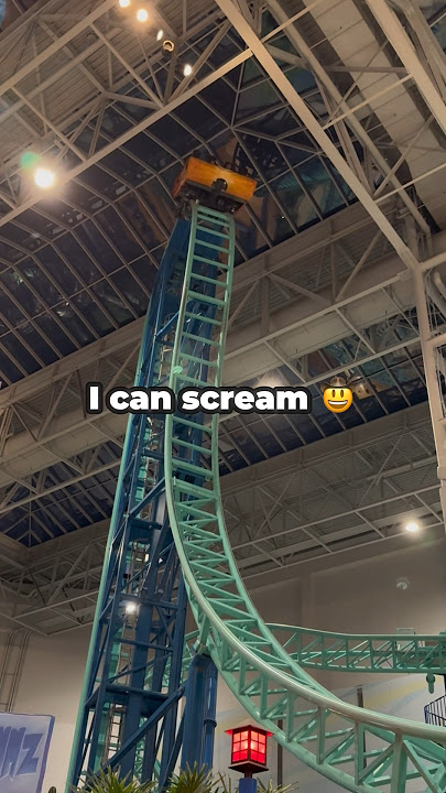 Who saw the new video I did with Mr. Jordan!? 😅 #fypシ゚ #rollercoaster #mall #scream #summer #viral