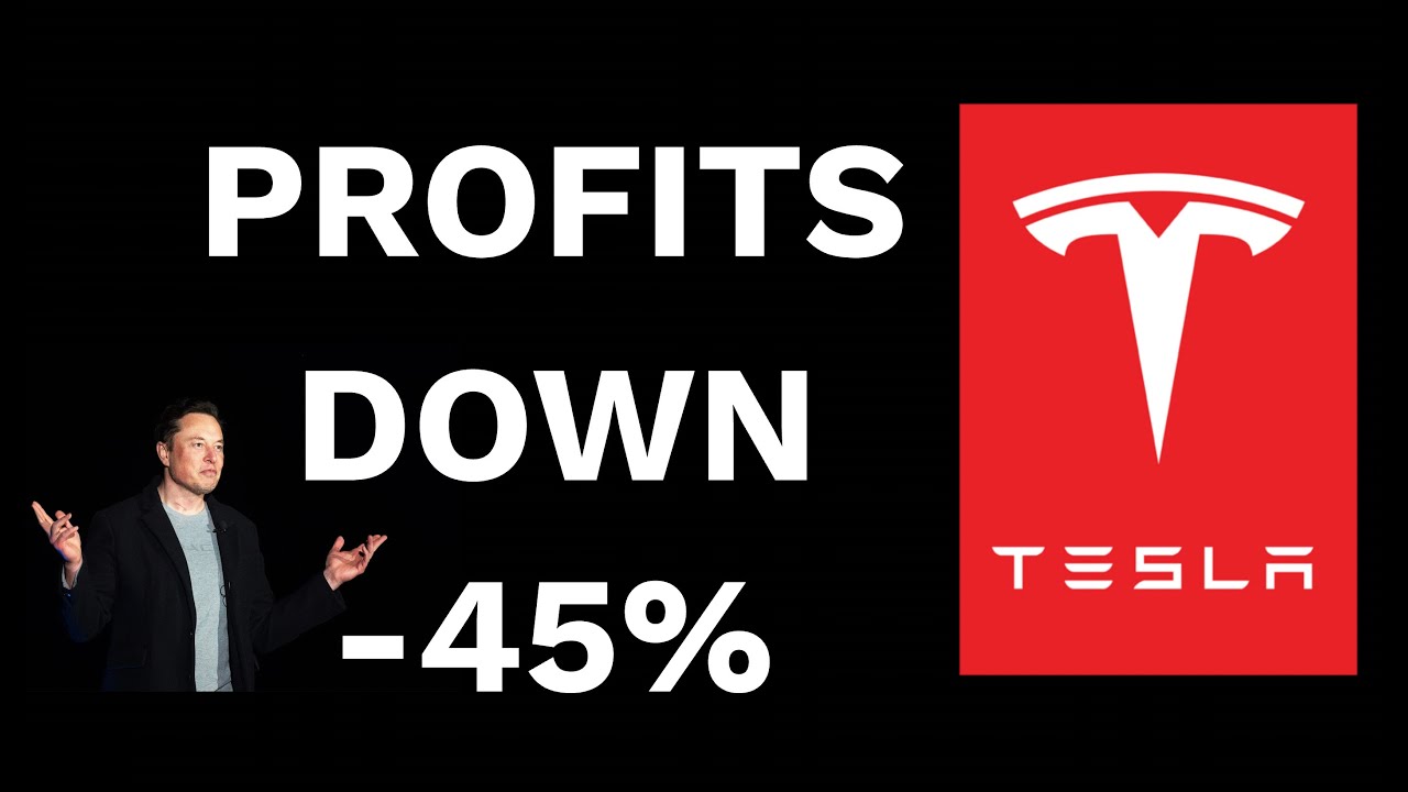 Q2 TESLA Earnings CRASHED the Stock - TSLA Analysis - YouTube