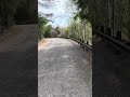 Shinny day at Resaca de La Palma State Park and World Birding Center