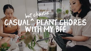 my best friend does plant chores i dont wanna do πββοΈ
HOOO this day was... testing π€£ im sure by now i sound like a broken record, but plant life with a new baby is wild. im sorry if youre sick of hearing me talk about this, but respectfully, im in the thick of a major life change right now so its pretty all-consuming π₯² i have faith things will get better, but right now its tough and im trying my best to adjust. BUT thankfully i have thee best plant bff who has come to help me get through some plant chores i really dont wanna do / cant do. i also did the same for her, and you can watch her video here:
https://www.youtube.com/watch?v=6ZkGJqTfp0o
and please be sure to follow my pal @youdontevengrowhere! shes the coolest sweetest prettiest angel in the world πΌπΌ
also heres a link to the stuff im using for spider mites in this video!
β capt. jacks dead bug: https://amzn.to/3FVKOyw
γ°οΈ
β» instagram β»
@unplantparenthood
instagram.com/unplantparenthood
γ°οΈ
β» shop all my plant favourites (affiliate links) β»
https://linktr.ee/unplantparenthood/
plant merch!
https://charmaine-adrina-shop.fourthwall.com/
γ°οΈ
π΅ MUSIC π΅
β enjoy a 7-day free trial of epidemic sound: https://share.epidemicsound.com/tfiru1
0:00 intro
5:23 chore #1
15:49 chore #2
23:17 chore #3 + Q&A
51:12 choosing chore
52:56 chore #4
59:21 reviewing chores
1:01:05 chore #5
1:07:04 chore #6
1:18:23 outro my best friend does plant chores i dont wanna do πββοΈ