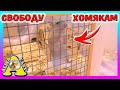 ПОДАРОК ХОМКИ ОРЕО / КАК ПРИРУЧИТЬ ХОМЯКА / КОТ ВАСЯ РЕВНУЕТ / Alisa Easy Pets