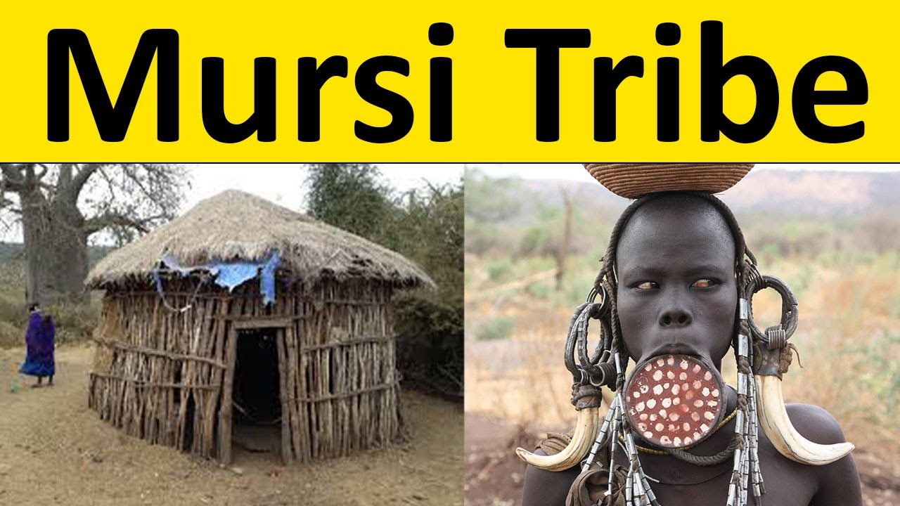 Mursi Janjati ki kahani mursi tribe history mursi tribe history in