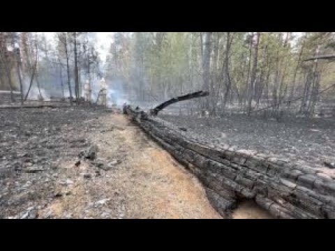 Ущерб от пожара в «Семей орманы» составил ₸165 млрд