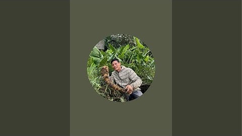 5 Công Dụng Tuyệt Vời Của Quả Chanh: Giảm Cân, Đẹp Da, Thải Độc Tự Nhiên!