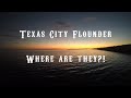 Flounder Fishing WHERE ARE THEY?!