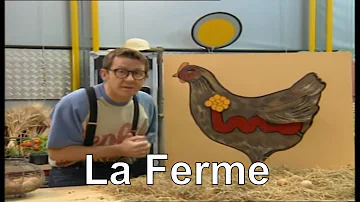 Comment se forme l'œuf d'une poule ?