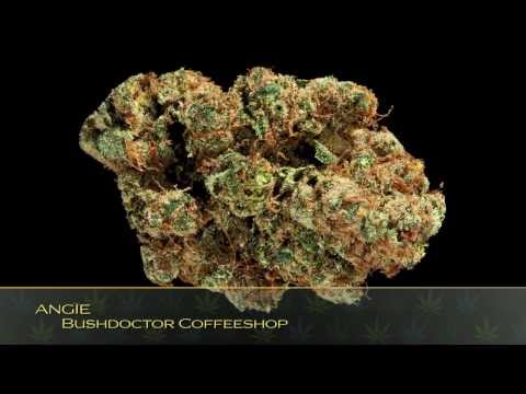 26th Annual HIGH TIMES Cannabis Cup Strain Entries: Coffeeshop Flowers