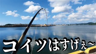 【真似注意】究極のガチロッド【強度無限竿】を作って堤防から巨大怪物を釣りあげろ!