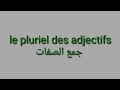 Les Pluriel Des Adjectifs جمع الصفات فى اللغه الفرنسيه