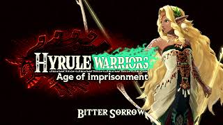 Hyrule Warriors Age Of Imprisonment - Bitter Sorrow Music Ost