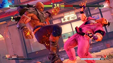 Sagat vs Dan | Level 8 CPU | Street Fighter V