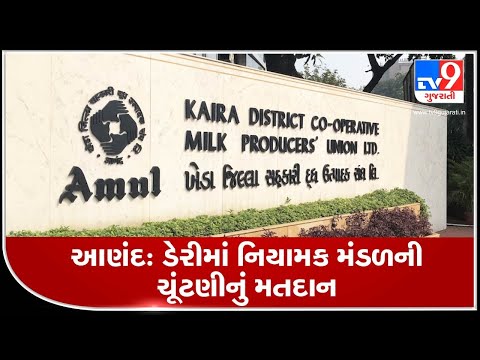 Election for Amul's Board of directors today | TV9News