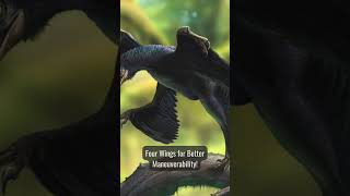 🦖 5 Mind-Blowing Facts About Microraptor! 🦖✨ #dinosaurs #dinosaurfacts #funfacts