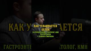 Как усваивается белок. Гастроэнтеролог, гепатолог, кмн Сергей Вялов у Даниила Смирнова
