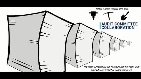 External Auditor Assessment Tool