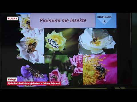 Video: Cilat janë 8 llojet e riprodhimit aseksual?