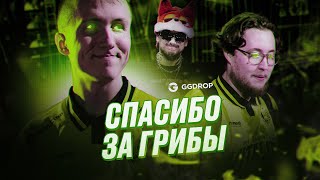 ГАМБИТ, NAVI, ГРИБЫ: КАРЬЕРА ЗЕВСА БЕЗ ЦЕНЗУРЫ!