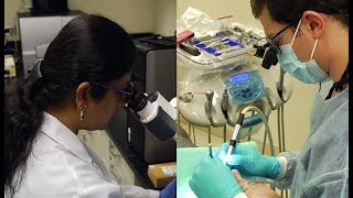 Why Students Choose UIC College of Dentistry