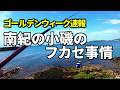 和歌山の釣り ゴールデンウィーク フカセ釣り事情