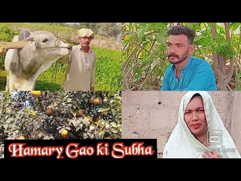 Village Morning 🌄Day||Gao ki Subha||ہمارے اپنے گاؤں کے الگ ہی نظارے||Morning 🌄village vlog