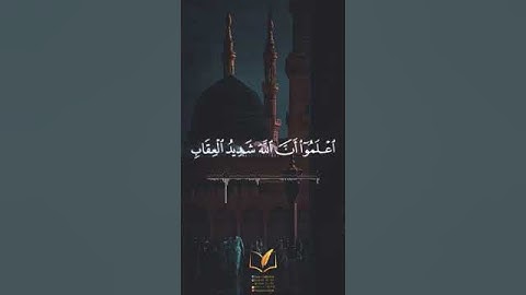 #قران_كريم سورة المائدة بصوت القارئ للشيخ محمد اللحيدان قناة القرآن الكريم الرسمية