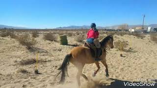 Windy day Horse Archery! by Kururu93 3 views 6 years ago 1 minute, 24 seconds