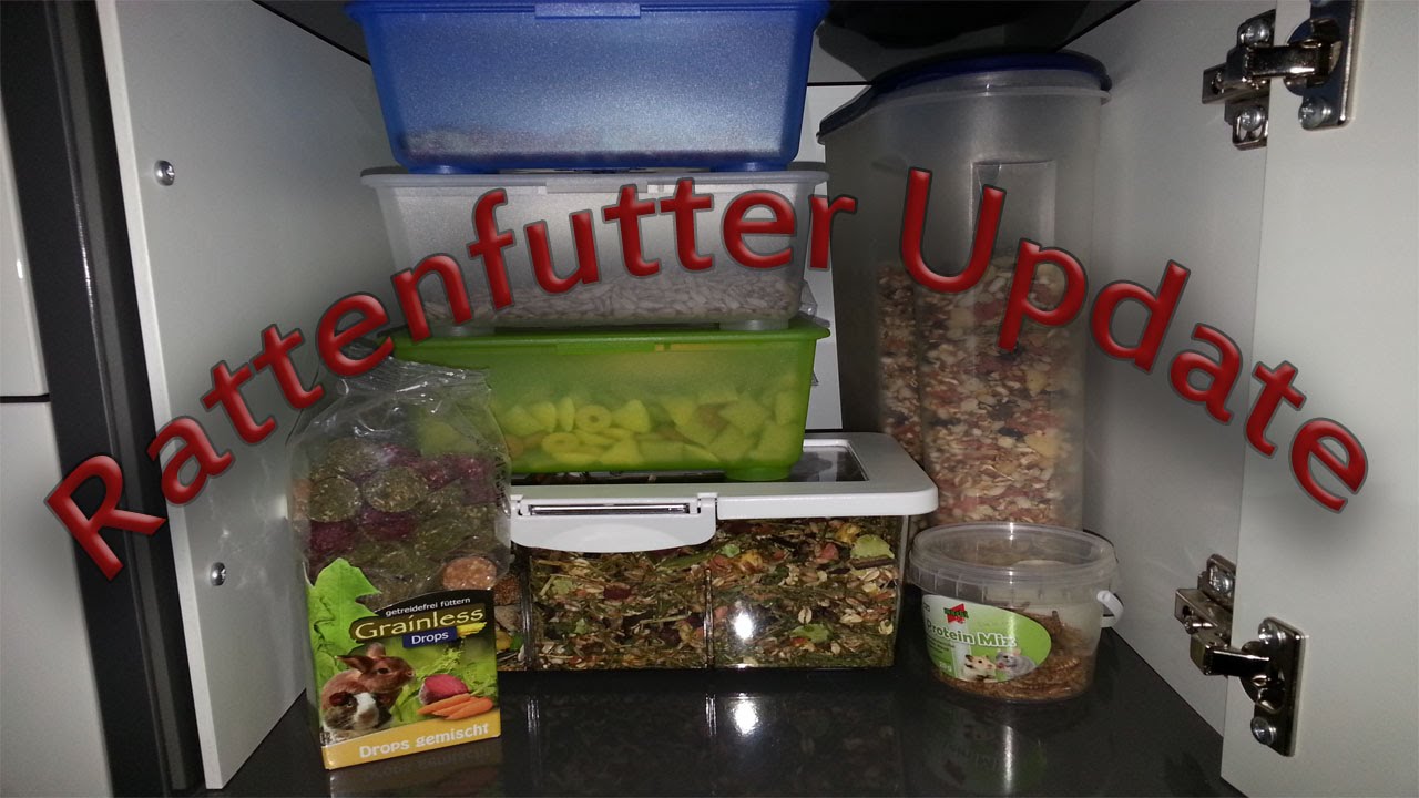 Rattenfutter Update (Januar 2015)