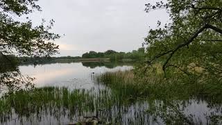 Country life on a river