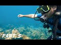 SCUBA Diving in Andaman | Havelock Island Vlog | Andamans