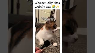 who lovesss thee wobbly catss😭😭✨