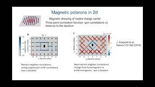 Celebrity Eugene Demler I: “Making quantum simulators useful” Net Worth
