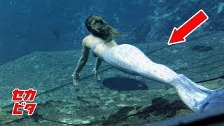 なんと人魚の群れ カメラが捉えた人魚の映像集 Youtube なんと人魚の群れ カメラが捉えた人魚の映像集 Youtube